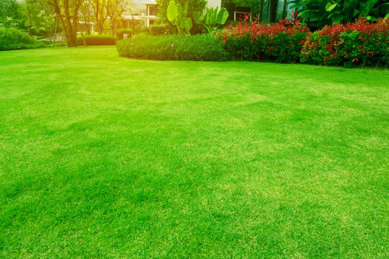 Lush Green Lawn