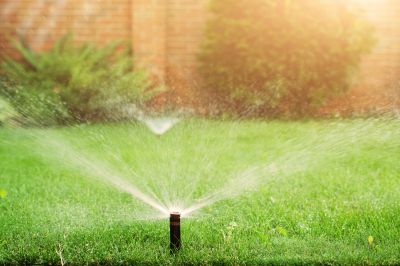 Winterized Lawn Sprinkler System
