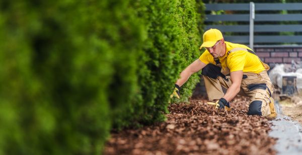 Cypress Mulch Installation - Cypress Mulch Installation Minneapolis, Minnesota