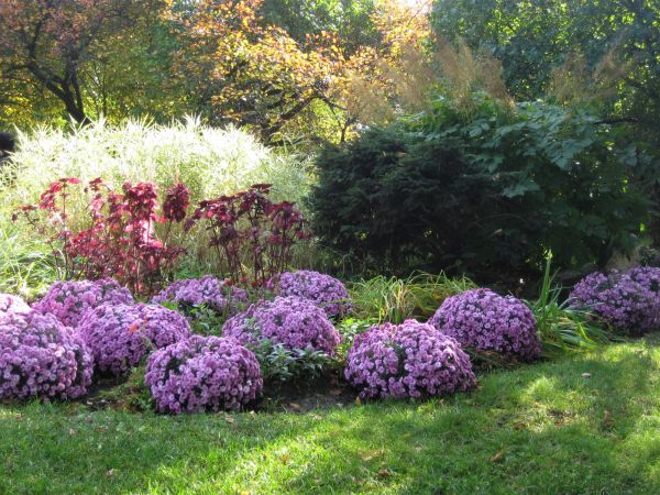 Floral Landscape Design